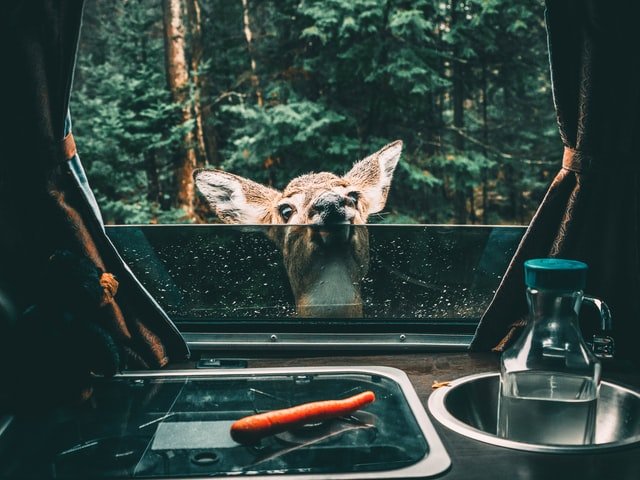 RV Parks