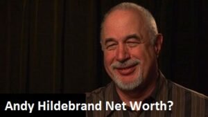 Andy Hildebrand Net Worth
