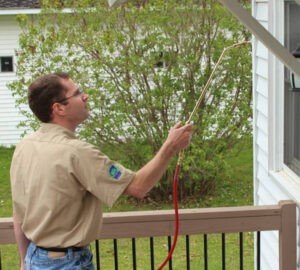 pest control services