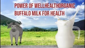 wellhealthorganic buffalo milk tag